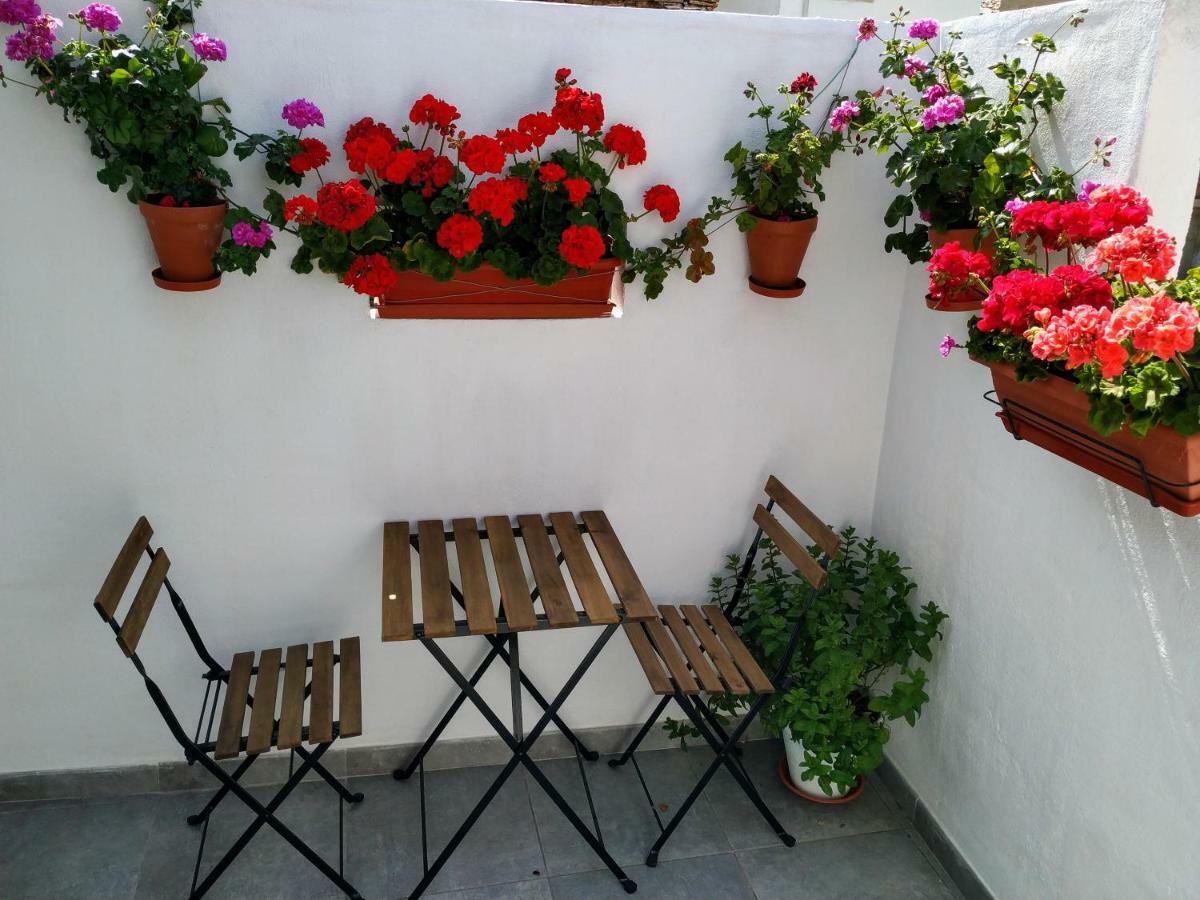 Apartamento Entero "El Casco Antiguo" Vt-46811-V Xàtiva Exterior foto